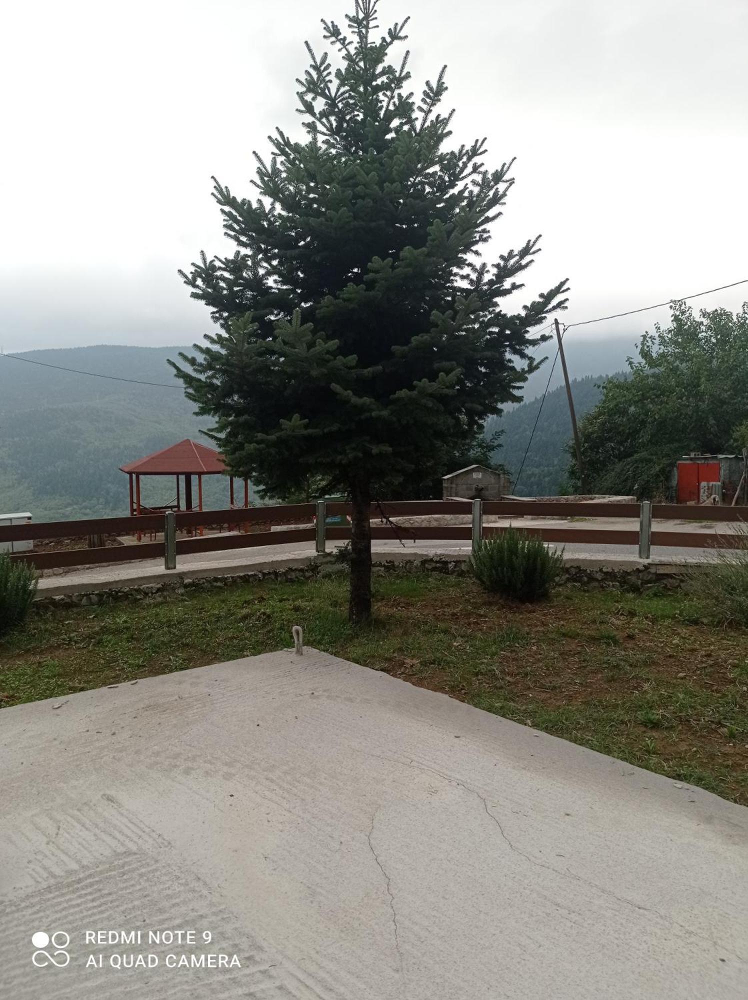Άγρια Λούλουδα Κατοικία Αρμονία Timfristos Exterior photo