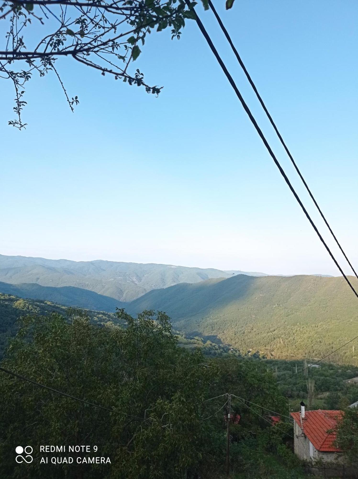 Άγρια Λούλουδα Κατοικία Αρμονία Timfristos Exterior photo
